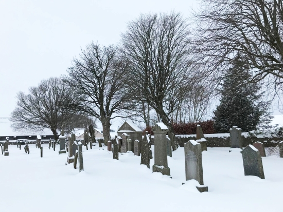 Cemetery Snow